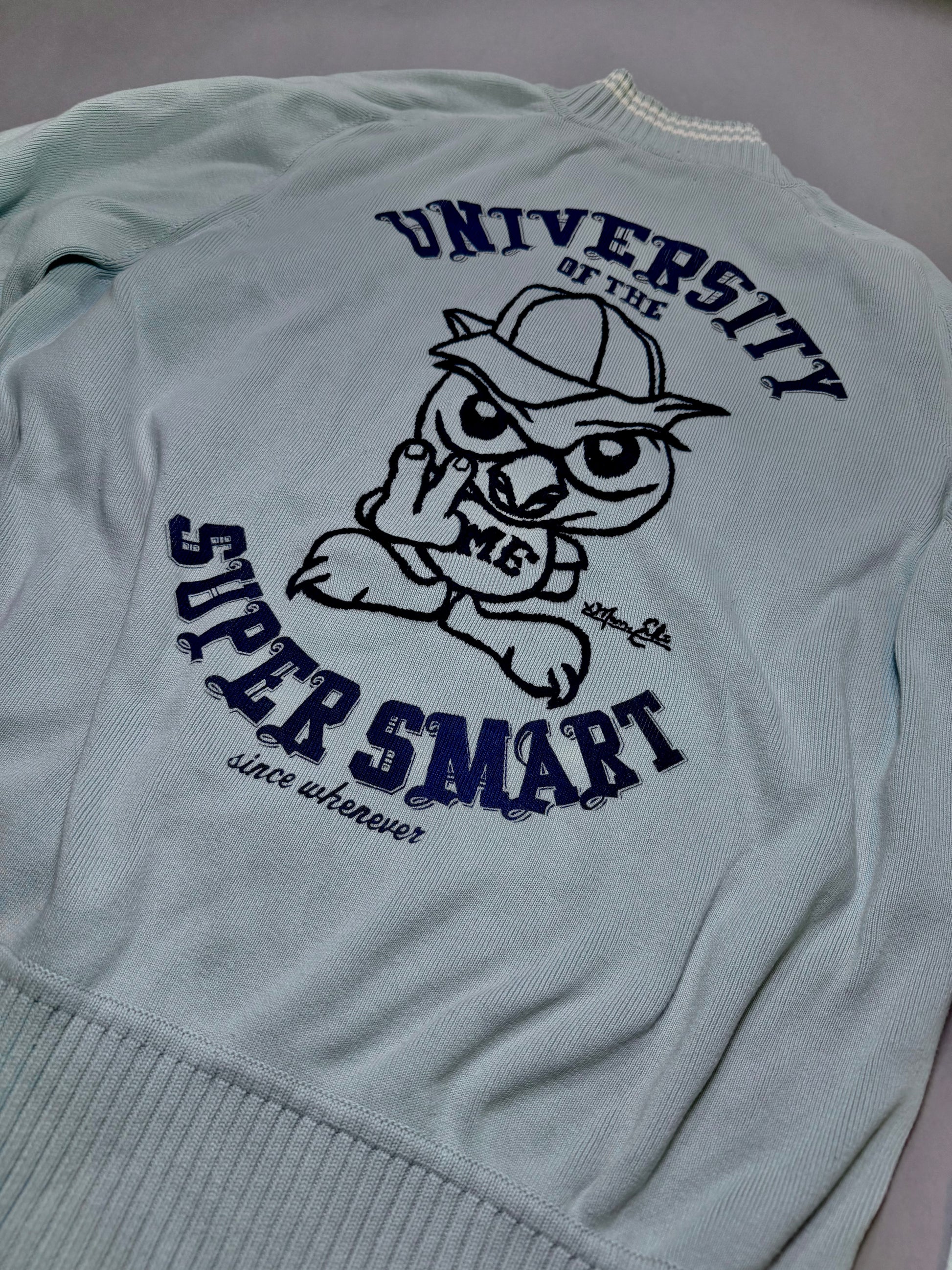 Angled view of the embroidered University of the Super smart graphic on the back of the sweater.