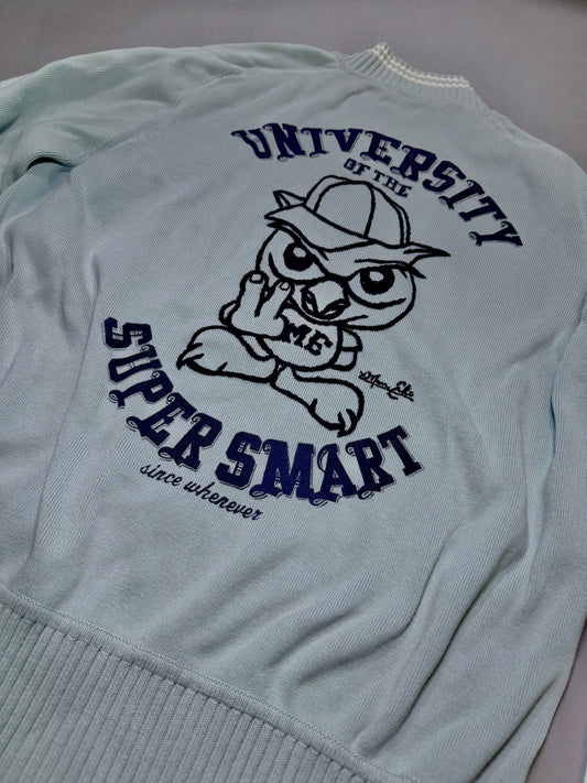 Angled view of the embroidered University of the Super smart graphic on the back of the sweater.